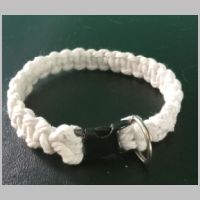 Small dog collar